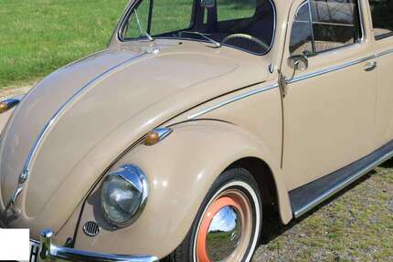 VW Käfer 54.238 km 32.457 &euro; Alfter 53347