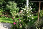 Direkt am Naturschutzgebiet! Modernes Haus mit Einliegerwohnung, Aufzug und vielen Extras! - Einfamilienhaus Königswinter | Angebot:24598297