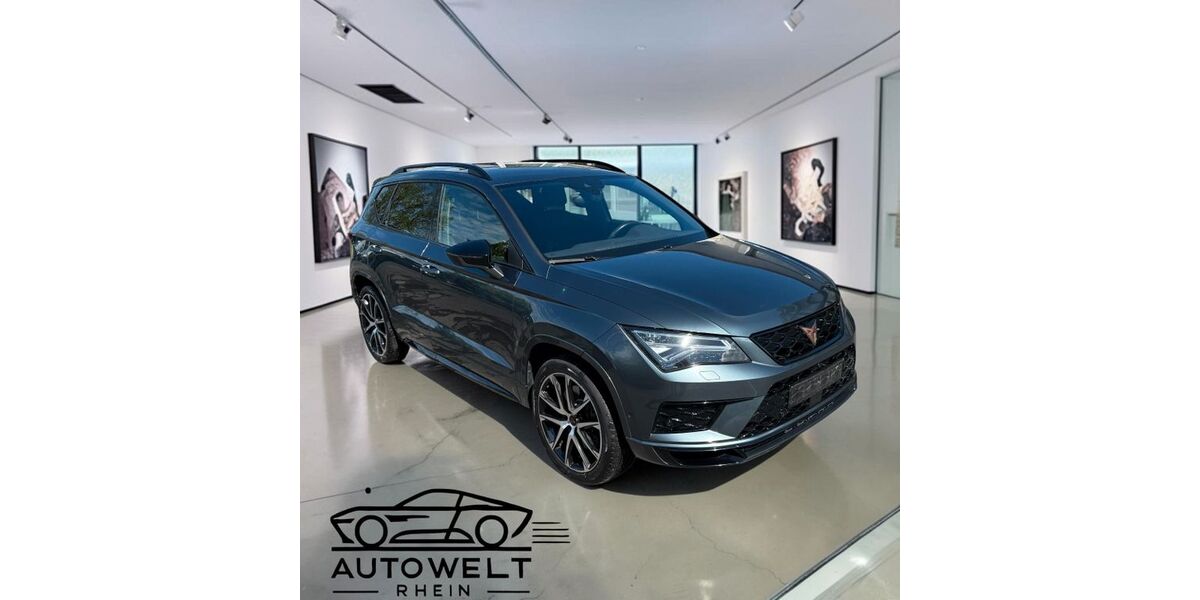 Cupra Ateca 123.800 km 20.990 &euro; Bonn OT Pützchen 53229
