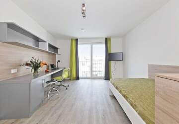 Wohnung Bonn Bonn-Zentrum - 1 Zimmer, 24 m&sup2;, 428&euro; | Angebot:27299723