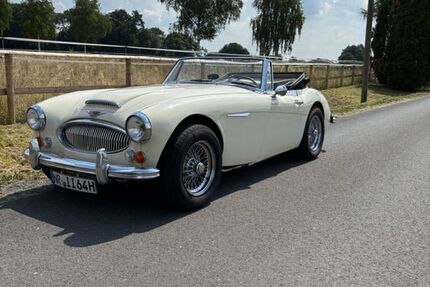 Austin Healey Andere 78.000 km 48.900 &euro; Bonn 53225